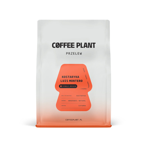 Kawa ziarnista COFFEE PLANT Kostaryka Luis Montero 250g – NIEDOSTĘPNY