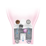 Wkład filtrujący wodę BWT Balanced Alkalized + Mg2+ - 3 sztuki