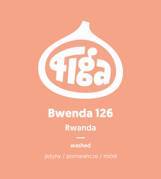 Kawa ziarnista Figa Coffee Rwanda Bwenda 126 Washed FILTR 250g - NIEDOSTĘPNY