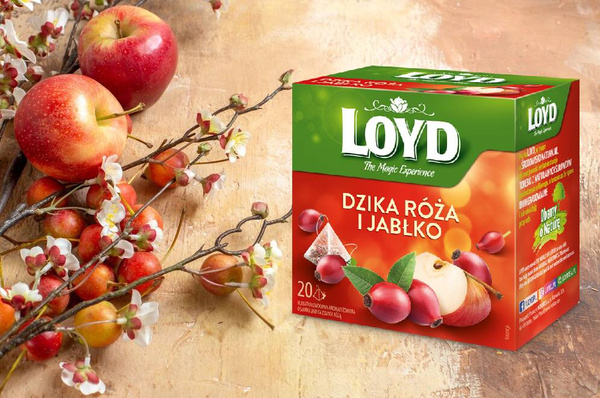 Herbata Loyd Dzika róża i jabłko 20x2g