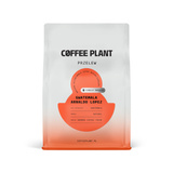 Kawa ziarnista COFFEE PLANT Gwatemala Arnaldo Lopez 250g