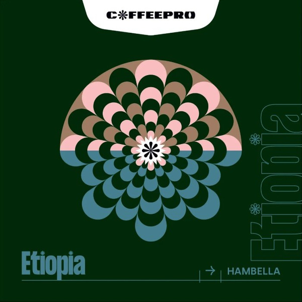 Kawa ziarnista CoffeePro Etiopia Hambella 250g - NIEDOSTĘPNY