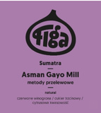 Kawa ziarnista Figa Coffee Sumatra Asman Gayo Mill natural 250g – NIEDOSTĘPNY
