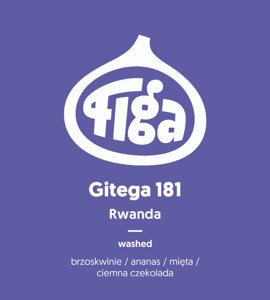 Kawa ziarnista Figa Coffee Rwanda Gitega 181 FILTR 250g - NIEDOSTĘPNY