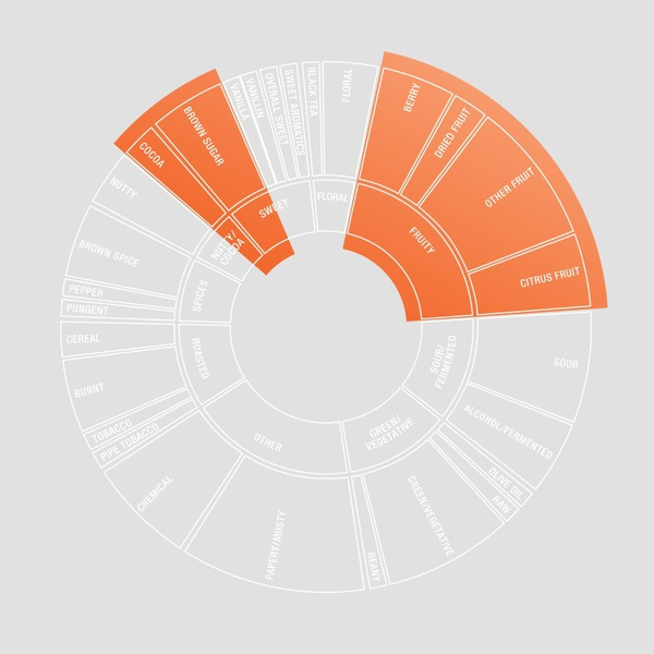 Kawa ziarnista COFFEE PLANT FLOW Konesso Edition 250g - NIEDOSTĘPNY