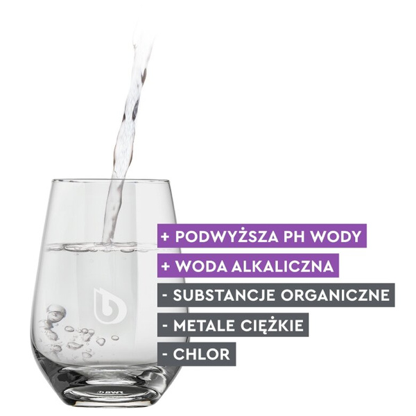 Wkład filtrujący wodę BWT Balanced Alkalized + Mg2+ - 3 sztuki
