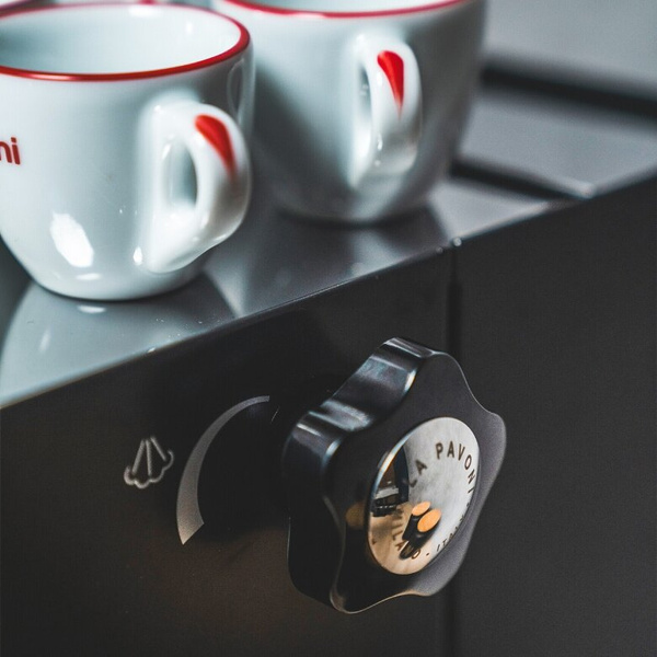 Ekspres do kawy La Pavoni New Casabar PID Black LPMCBN02EU