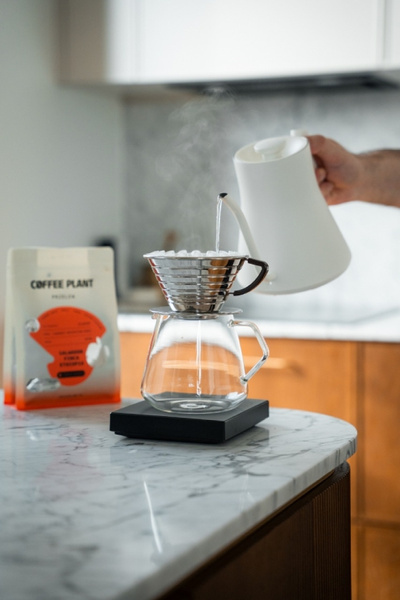 Kawa ziarnista COFFEE PLANT Salwador Finca Ethiopia Gesha 250g - SPECIAL EDITION