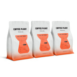 Kawa ziarnista COFFEE PLANT FLOW Very Berry 250g