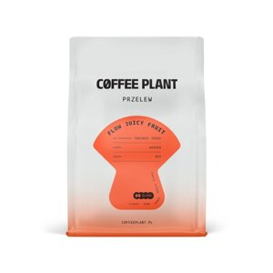 Kawa ziarnista COFFEE PLANT FLOW Juicy Fruit 250g - opinie w konesso.pl