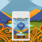 Kawa ziarnista Trip Coffee Gwatemala 250g