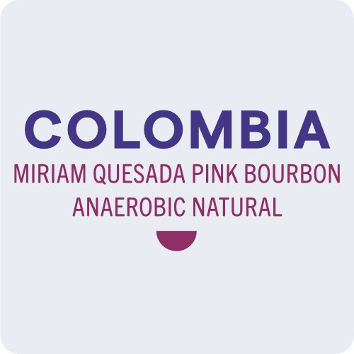 Kawa ziarnista Coffee Grange Colombia Miriam Quesada Pink Bourbon Anaerobic Natural 250g