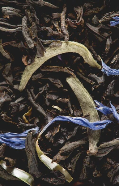 Herbata czarna Dammann Earl Grey Yin Zhen 50 saszetek