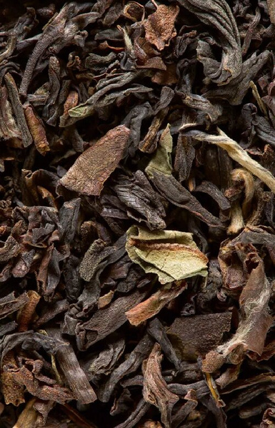 Herbata czarna Dammann Darjeeling 24 saszetki