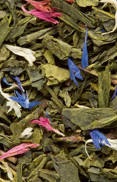 Herbata zielona Dammann L'Oriental 24 saszetki