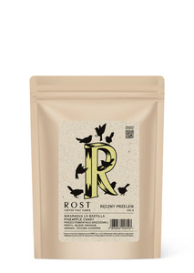 Kawa ziarnista ROST Nikaragua La Bastille Pineapple Candy 250g - NIEDOSTĘPNY