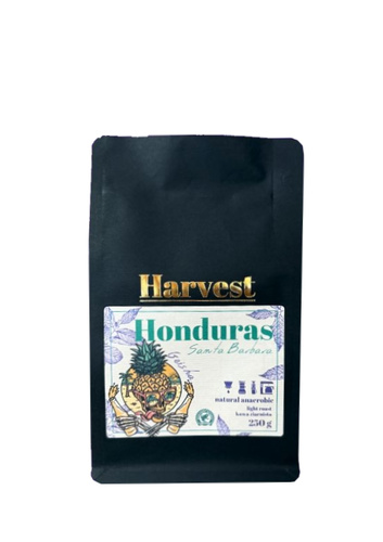 Kawa ziarnista Harvest Honduras Santa Barbara Geisha 250g – NIEDOSTĘPNY - opinie w konesso.pl