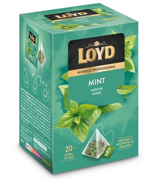Herbata ziołowa Loyd Mięta 20x2g